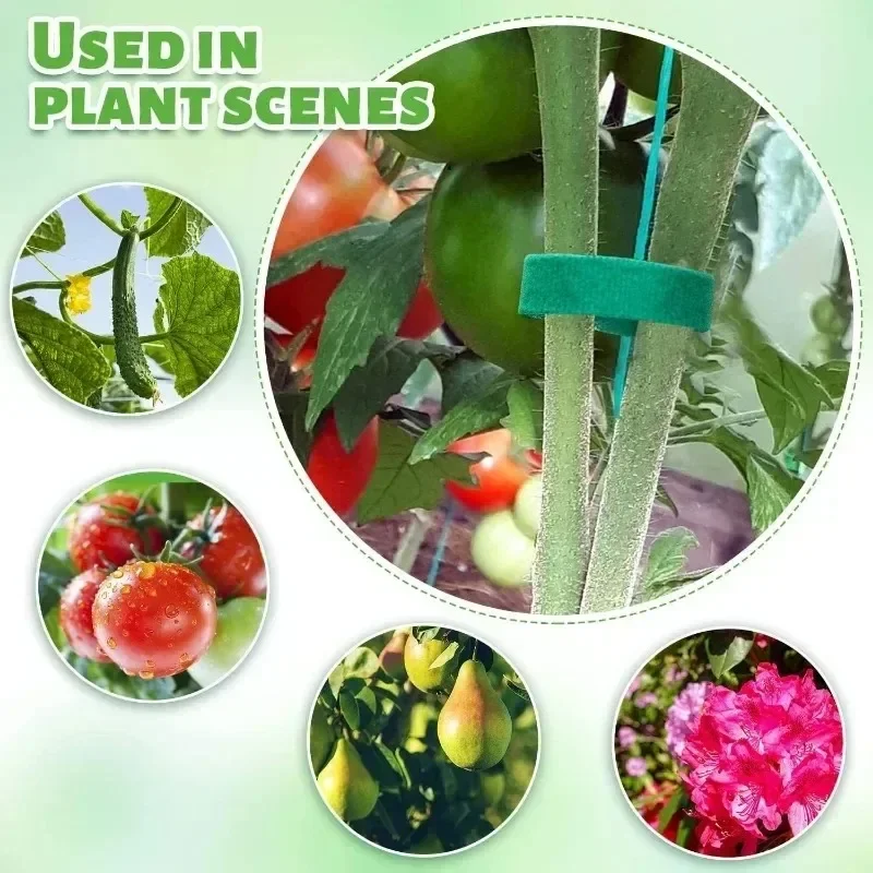 Self Adhesive Plant Nylon Cabl - Gear Tie Reusable recensione e prezzo