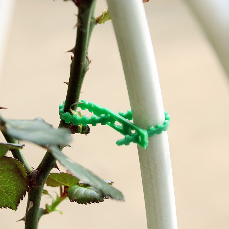 50/100Pcs Reusable Garden Cabl - Gear Tie Reusable recensione e prezzo